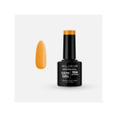Vernis semi-permanent 8ml ELIXIR SEMIGEL PRO / FLASH et Laser Diamond