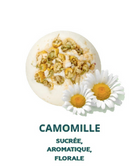 Baïja Soin de Bain Effervescent