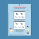 Maquettes - Les beaux papillons